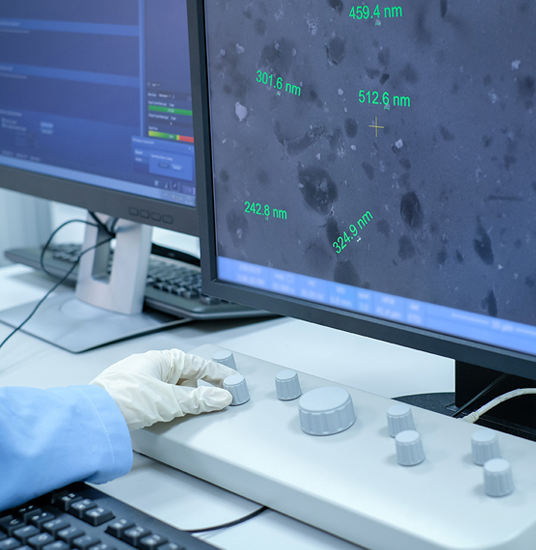 Therapeutic mAb Drugs Monitoring