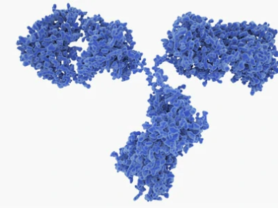 High-Performance Humanized Control Antibodies to Advance Infectious Disease Diagnostics