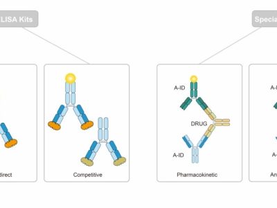 Custom ELISA Kit Development Services for Biopharmaceutical and Diagnostic Research