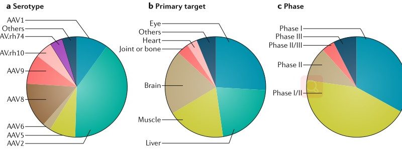 Environmental Toxicology Biomarker Antibodies to Support Biological Research